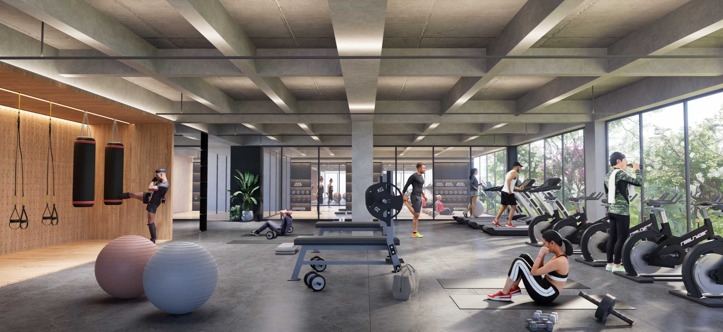 Gimnasio